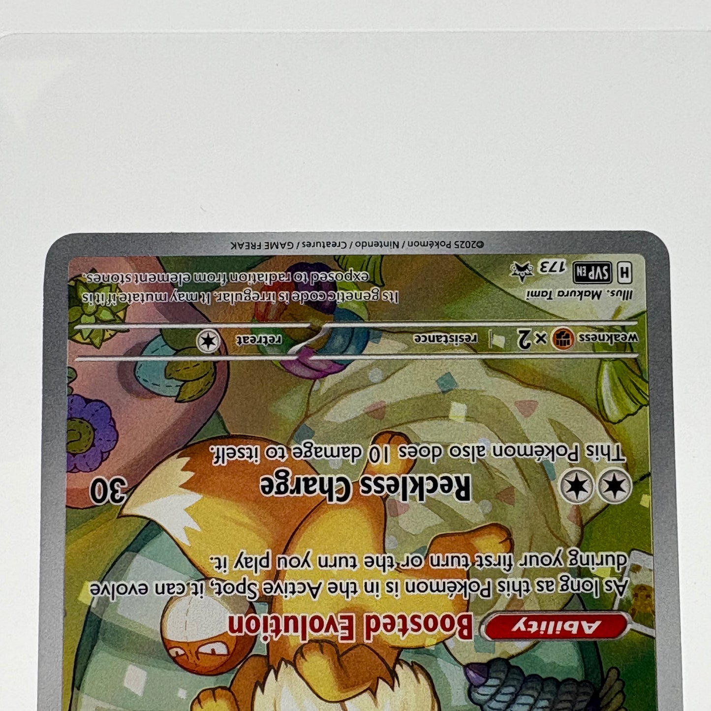 Pokémon TCG Promo Eevee 173 English