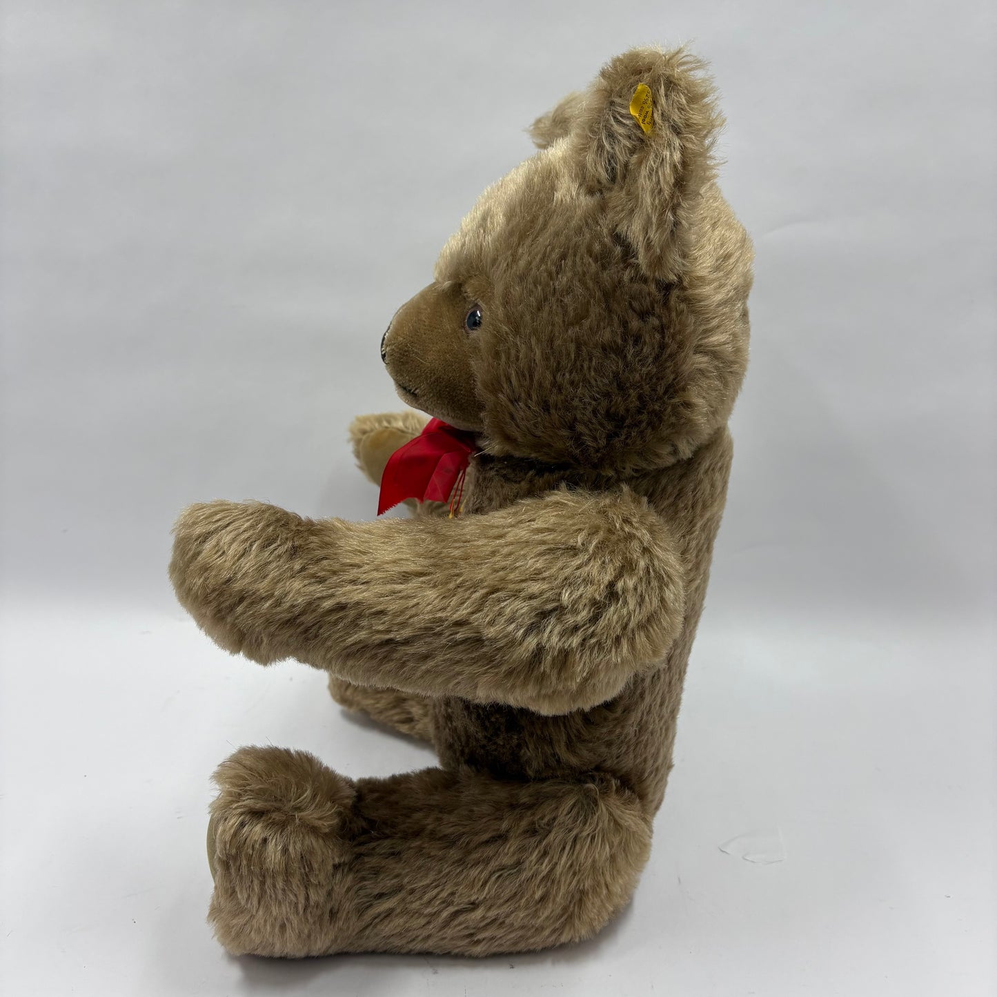 Steiff Original Teddy 20" Vintage Jointed Mohair Teddy Bear 0202/51 with Tags