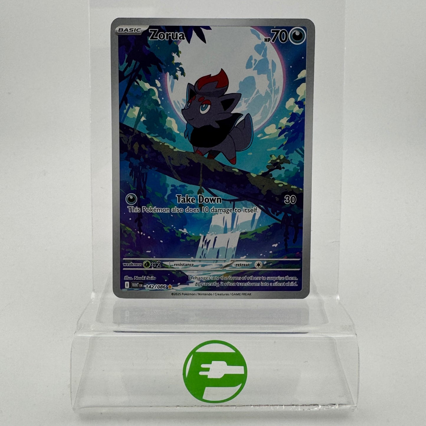 Pokémon TCG White Flare Zorua #142 Holo English LP