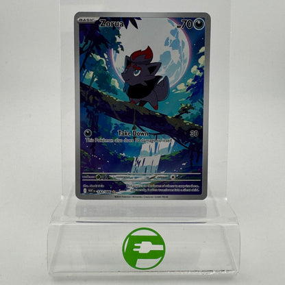 Pokémon TCG White Flare Zorua #142 Holo English LP