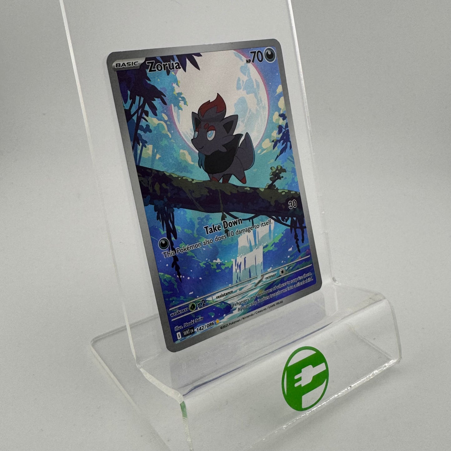 Pokémon TCG White Flare Zorua #142 Holo English LP
