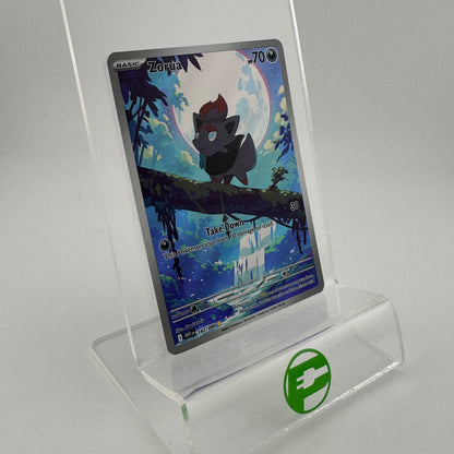 Pokémon TCG White Flare Zorua #142 Holo English LP