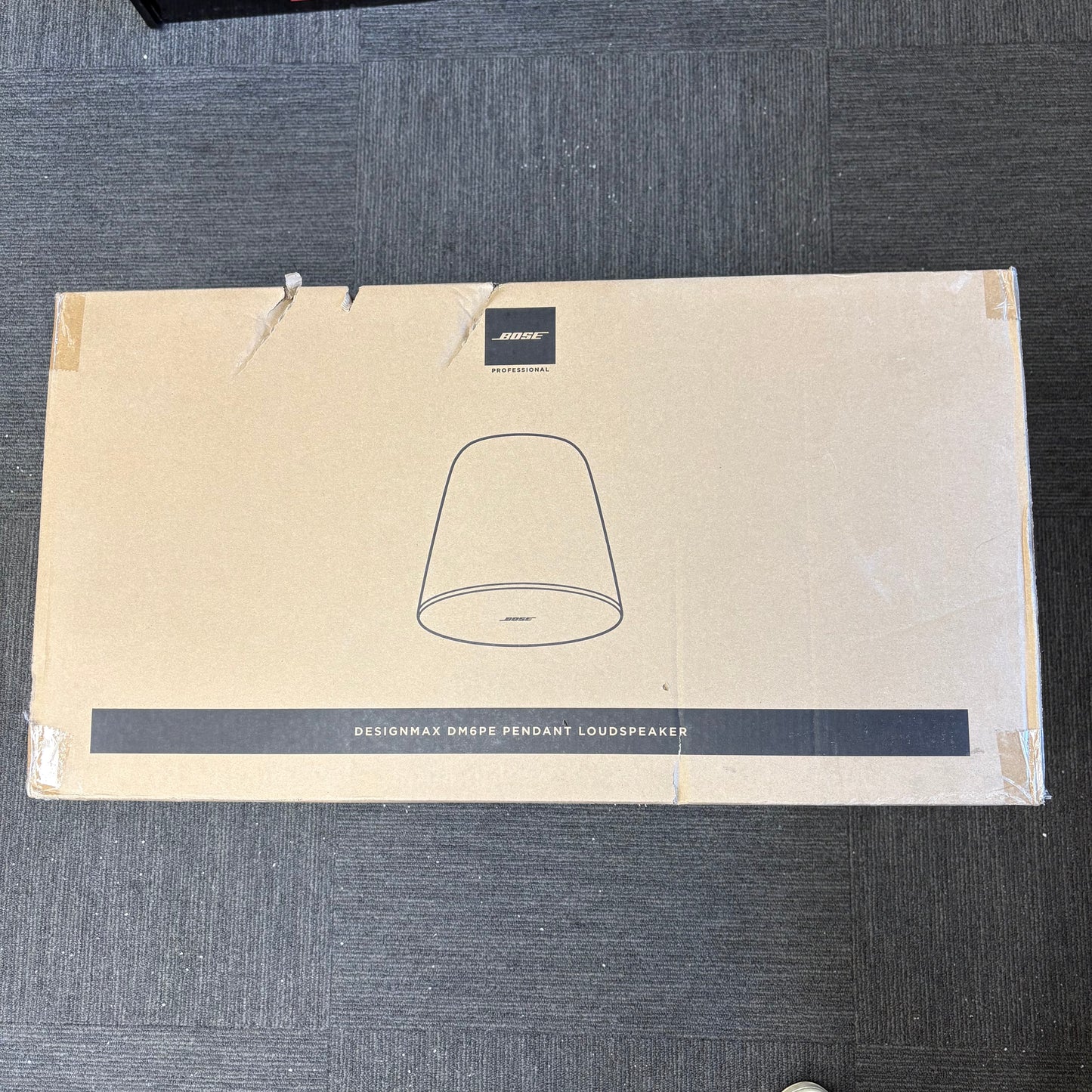 New Bose DesignMax DM6PE Pendant Loud Speakers 841168-0220