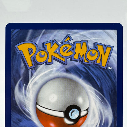 Pokémon TCG White Flare Zorua #142 Holo English LP