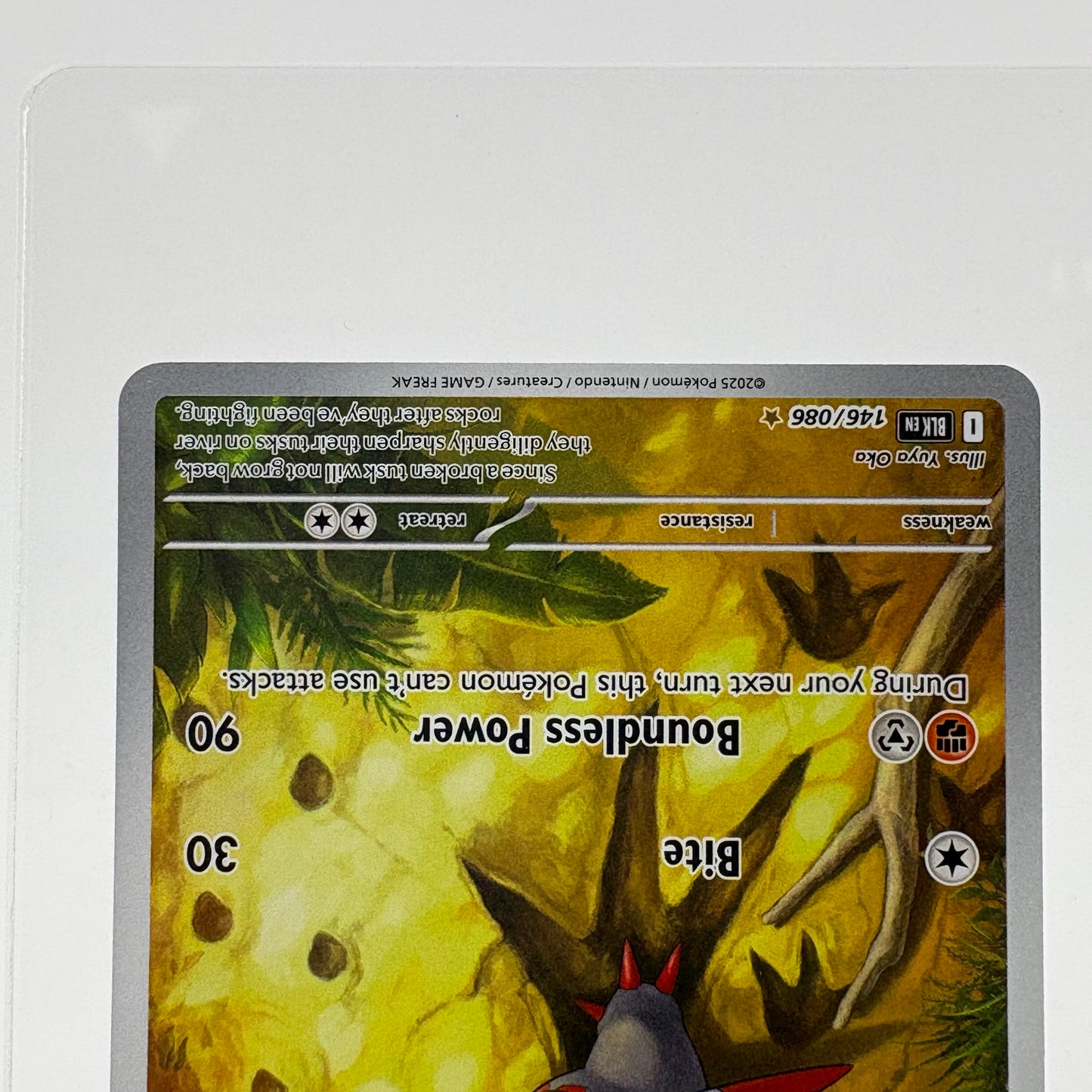 Pokémon TCG Black Bolt Fraxure 146/086 English