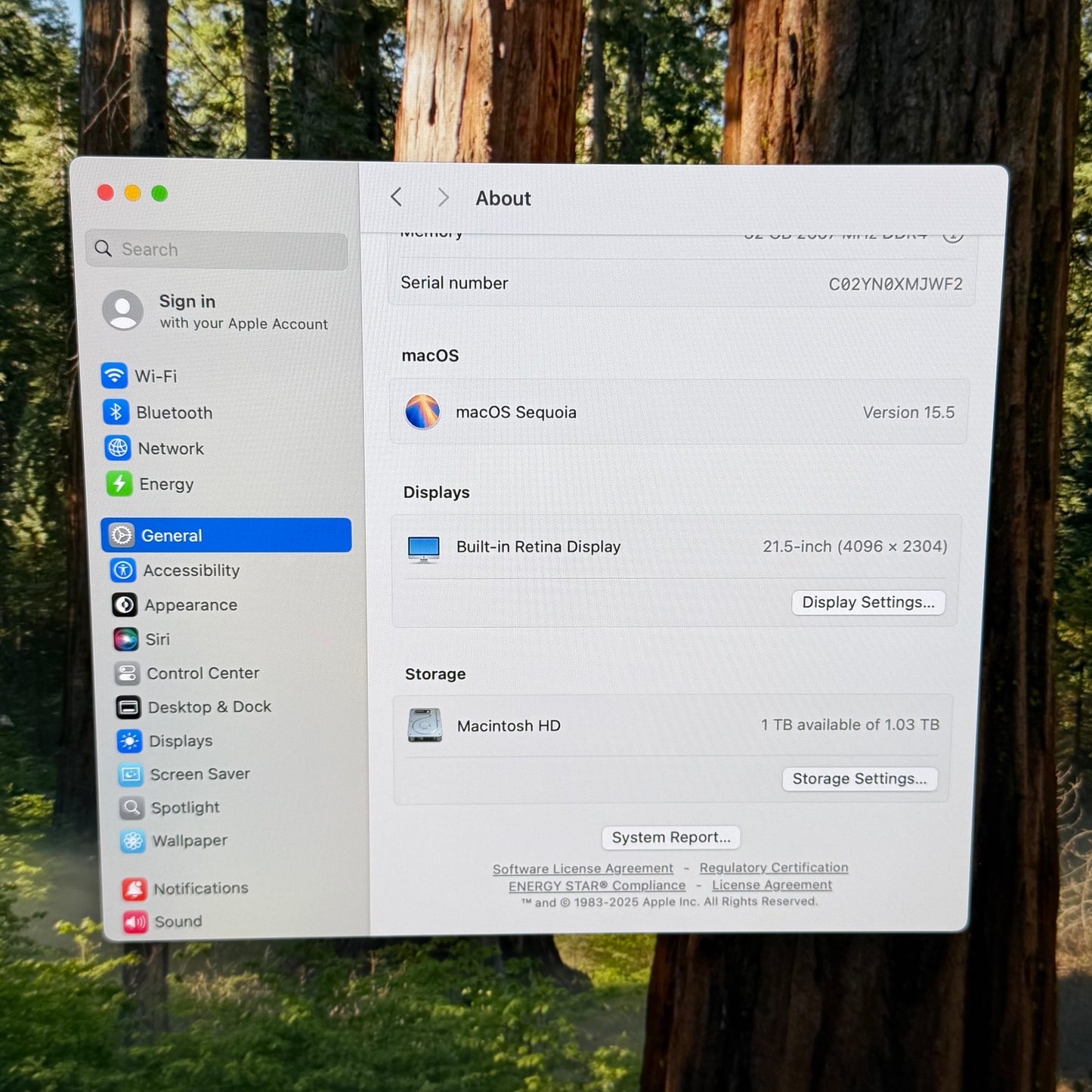 2019 Apple iMac 21.5" i5 3.7GHz 32GB RAM 1TB SSD Silver A2116