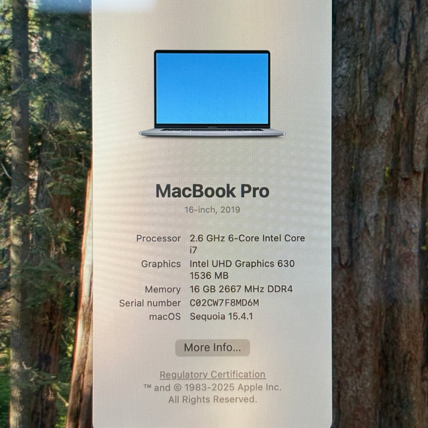 2019 Apple MacBook Pro 16" i7 2.6GHz 16GB RAM 512GB SSD Silver A2141