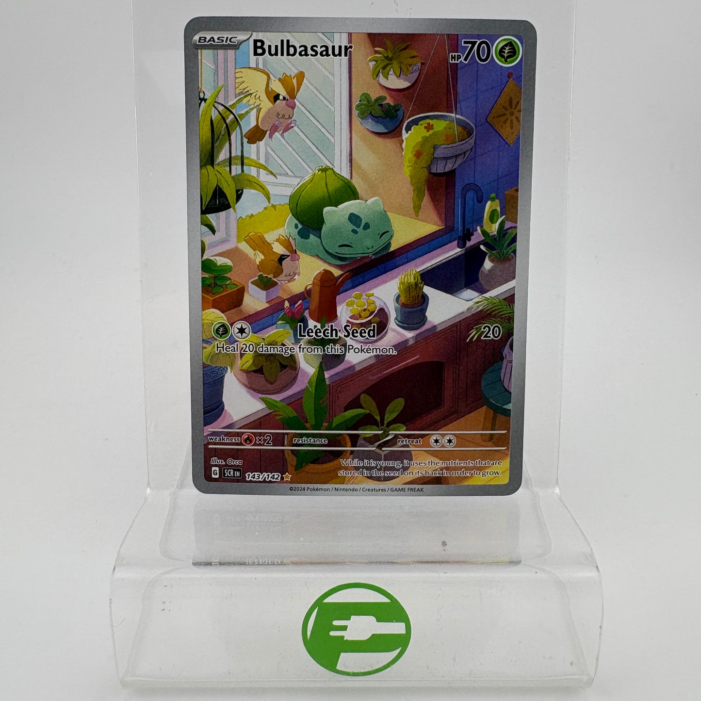 Pokémon TCG Stellar Crown Bulbasaur Pokemon TCG Holo English NM