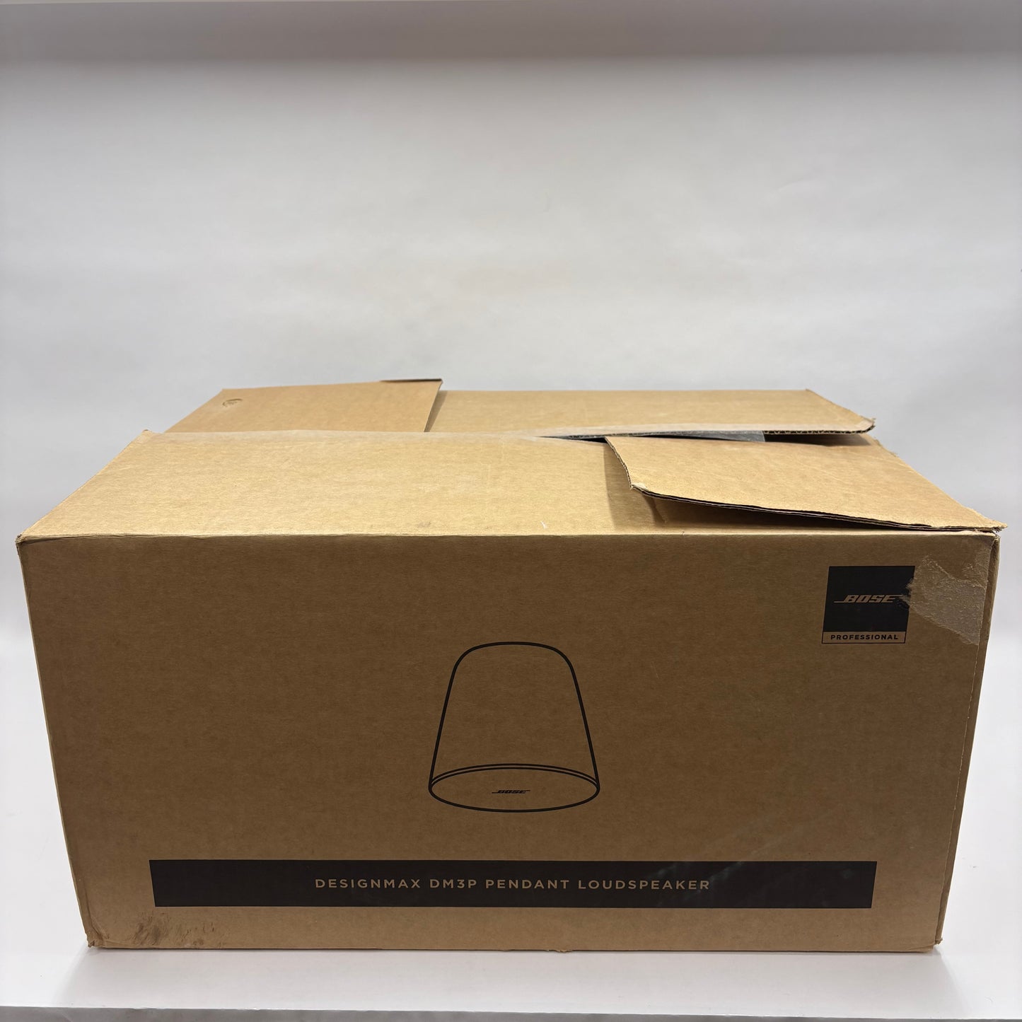 New Bose DesignMax DM3P Pendant Loudspeakers 841165-0210 White