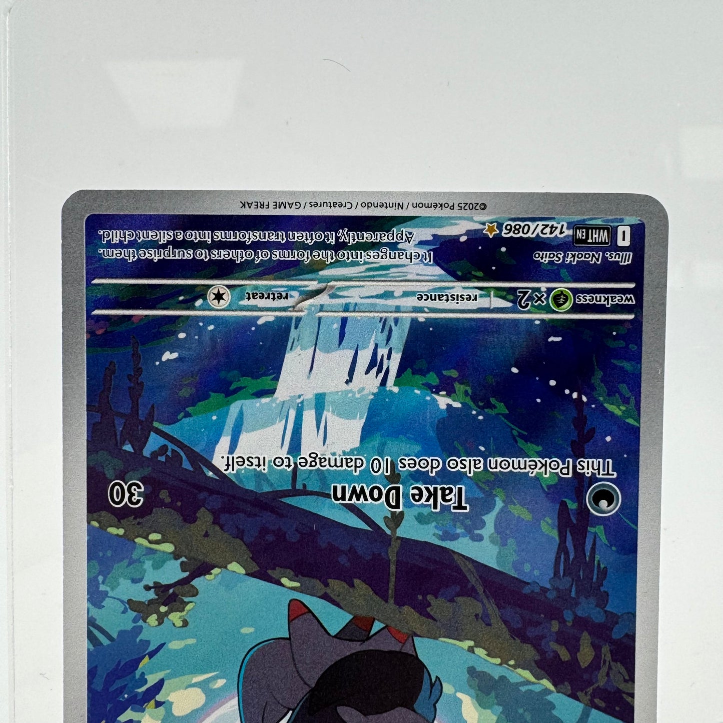 Pokémon TCG White Flare Zorua #142 Holo English LP