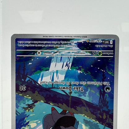 Pokémon TCG White Flare Zorua #142 Holo English LP